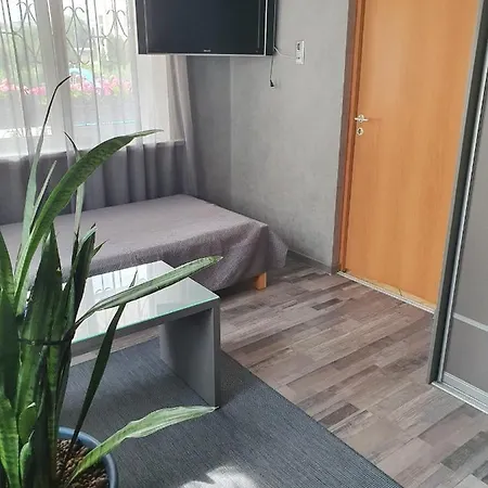 Dolphin Guest house
