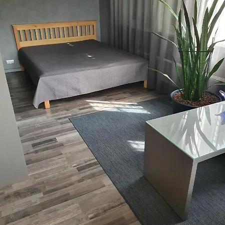 Guest house Dolphin Riga