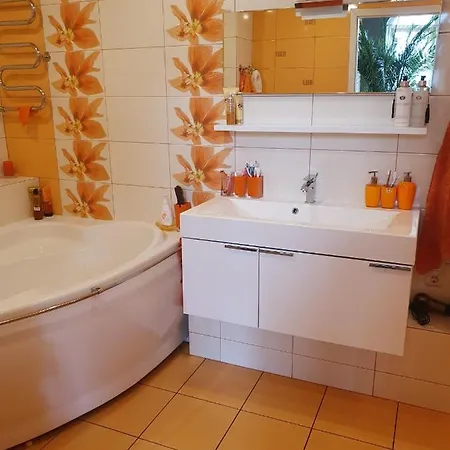 Guest house Dolphin *